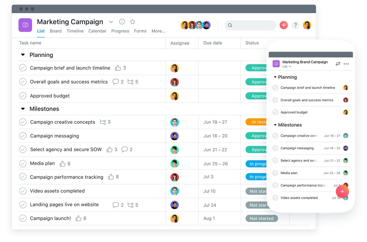 How to Set Up Your First Project in Asana
