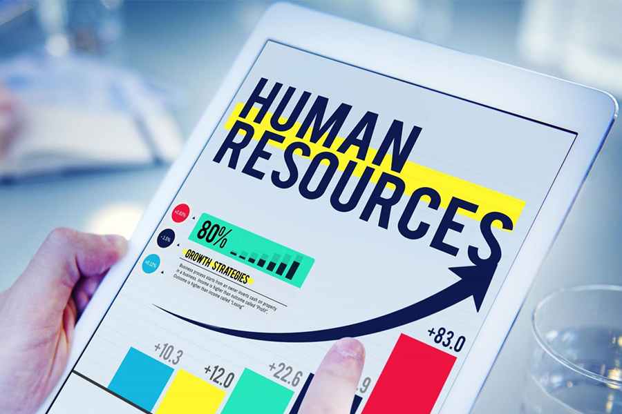Top HR Software Options for Small Businesses