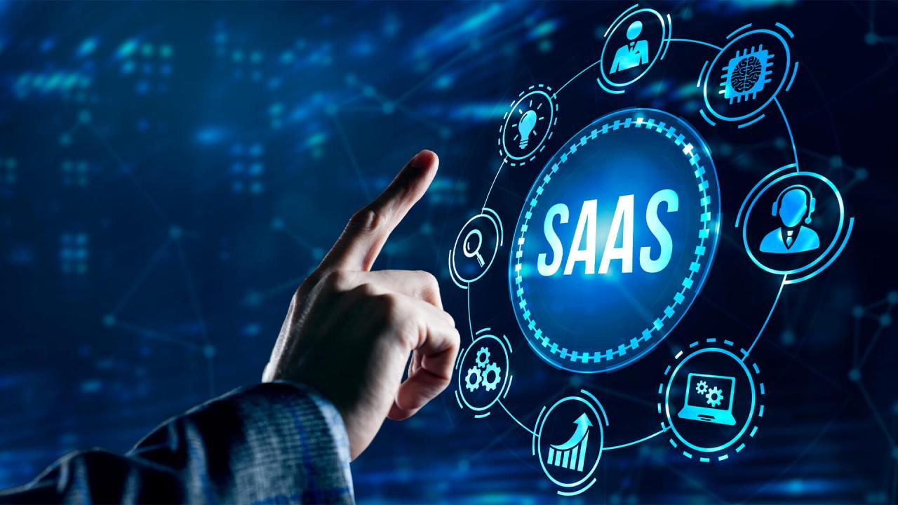 Examples of Successful SaaS Companies
