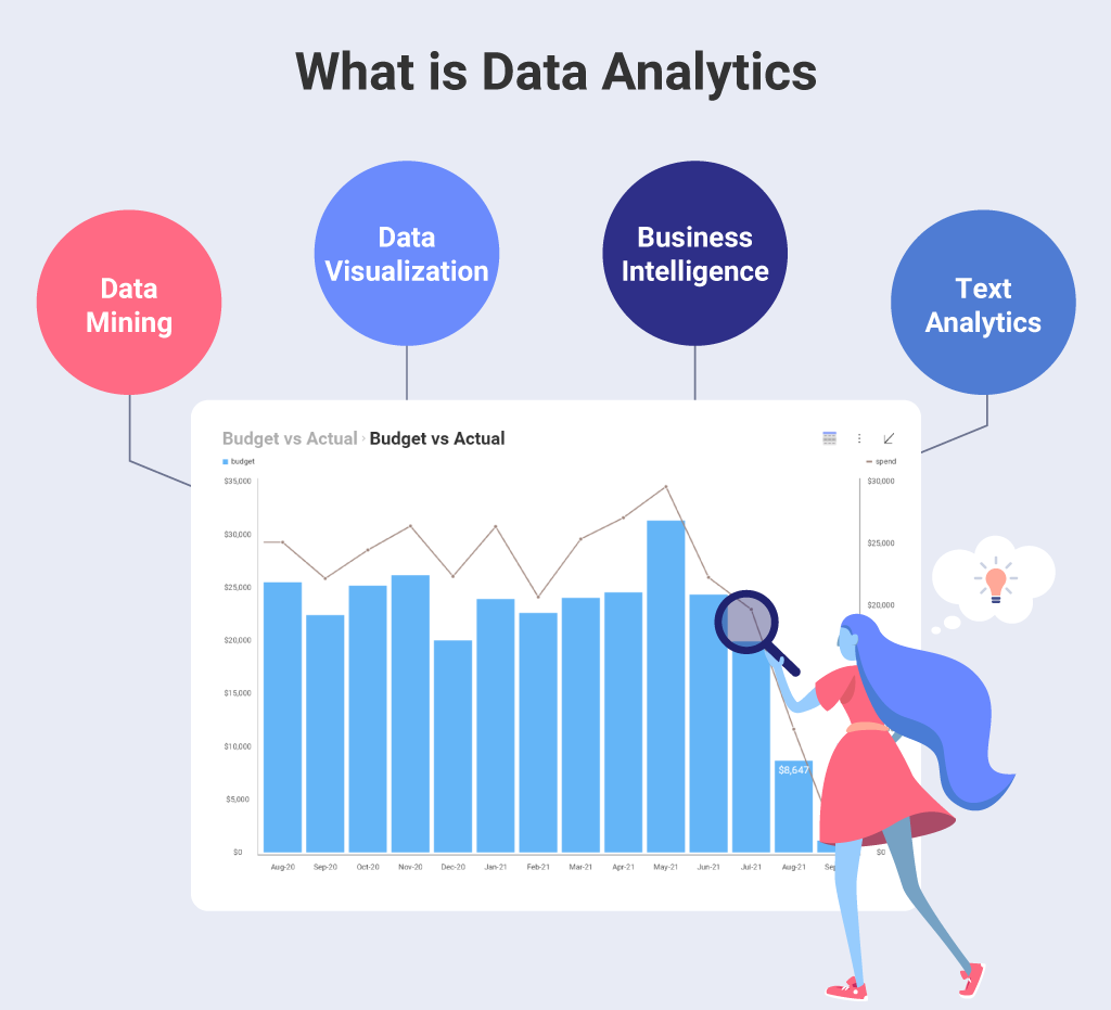 Tools for SaaS Data Analytics